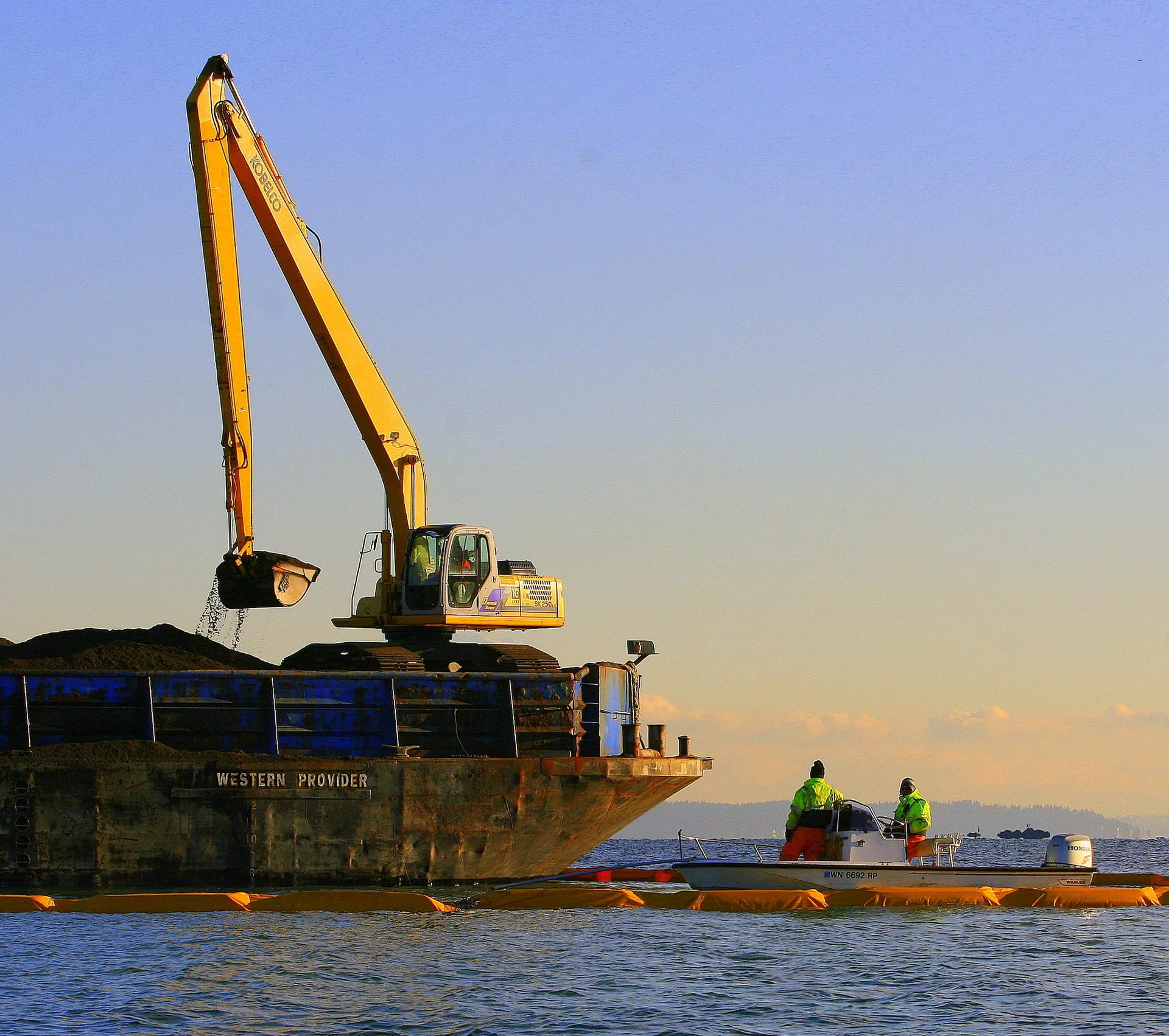 USACE Eelgrass Restoration